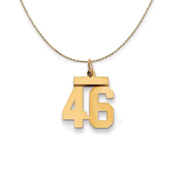 14k Yellow Gold, Athletic, Sm Polished Number 46 Necklace - 20 Inch - Picture 1 of 7